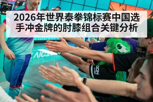 2026年世界泰拳锦标赛中国选手冲金牌的肘膝组合关键分析